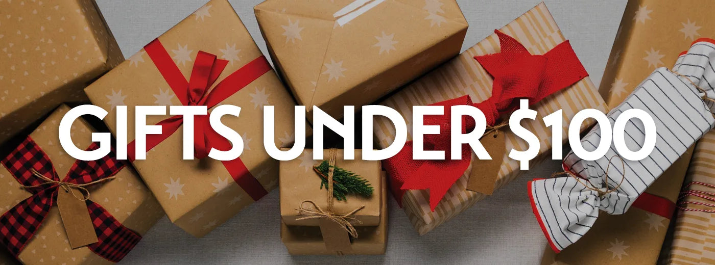 Holiday Gifts Under $100