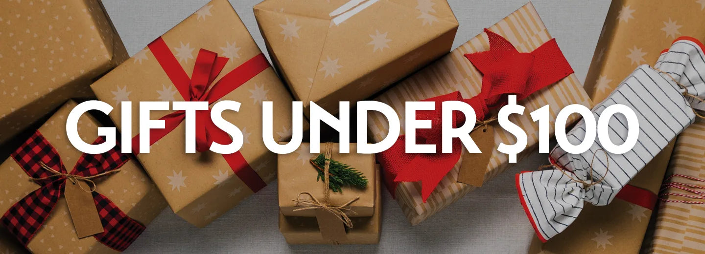 Holiday Gifts Under $100